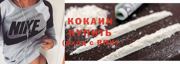 бошки Богданович