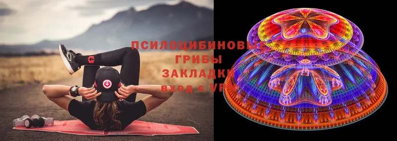 Галлюциногенные грибы Magic Shrooms  Новоузенск 