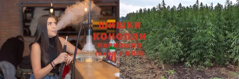 Марихуана OG Kush  Новоузенск 